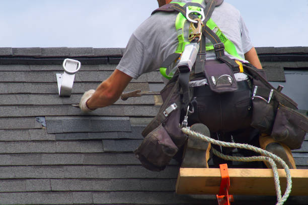 Best Roof Gutter Cleaning  in Montpelier, VT